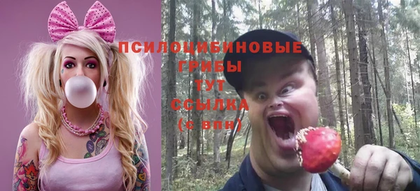 гашик Алзамай