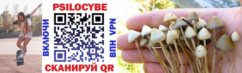 ОМГ ОМГ сайт  Димитровград  Псилоцибиновые грибы Magic Shrooms 